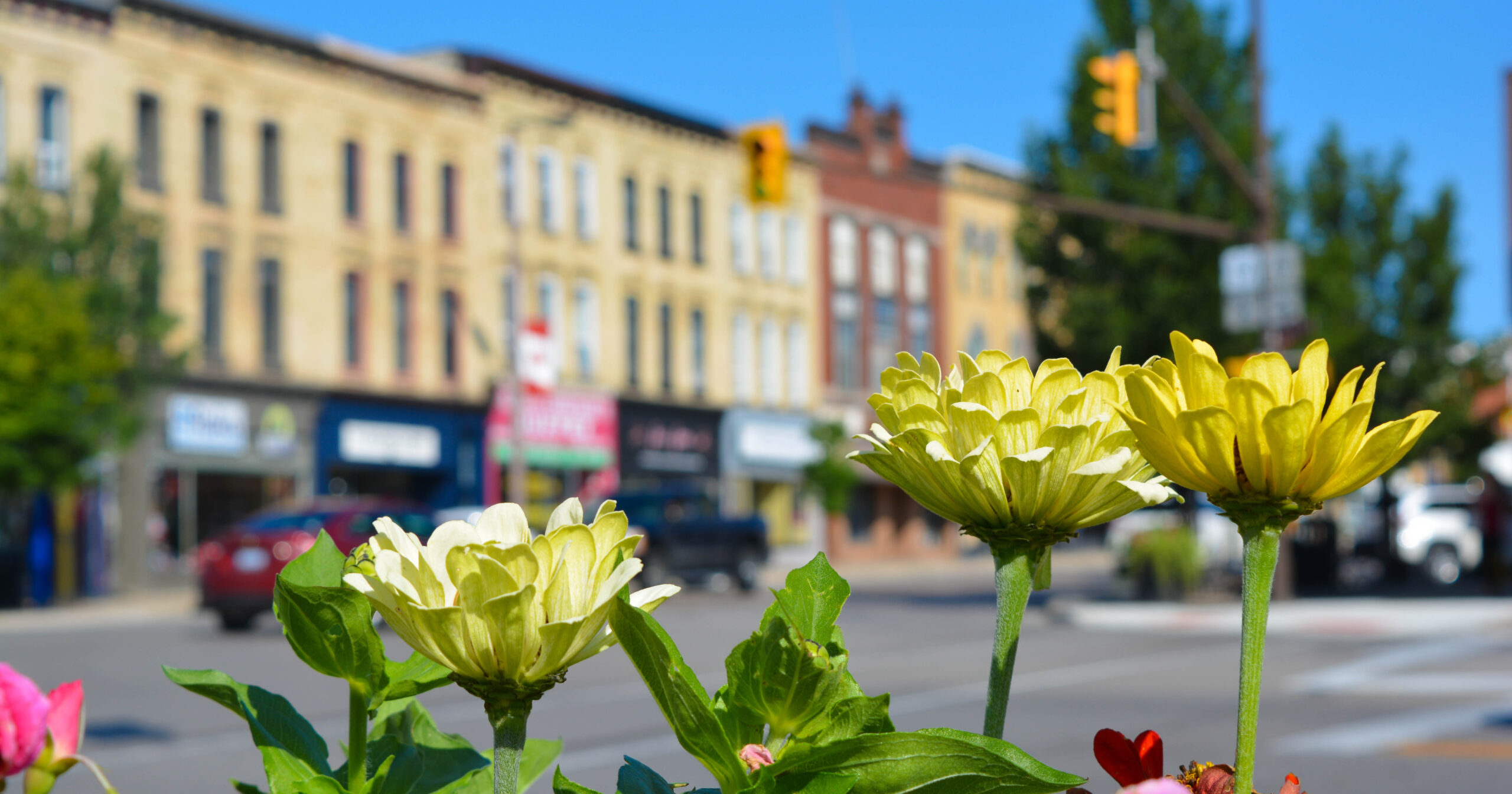 Flowers in front of a main street in downtown Tillsonburg